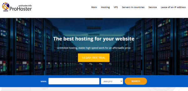 Discovering ProHoster.info: Standout Features That Differentiate It in the Hosting Industry